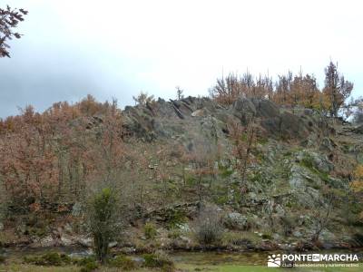 Molino Río Jarama-La Hiruela; cerezos valle del jerte viajes exóticos meandro de melero